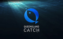 Queensland Catch